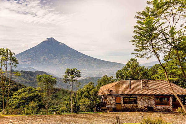 Кофе CUATTRO Guatemala (Гватемала) купить с доставкой по России